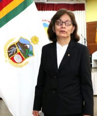 Sra. Zulma Sofia Castillo Tecsi